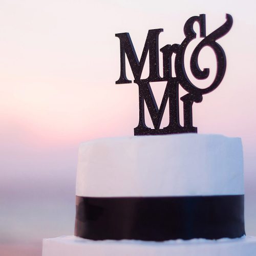 Mr. and Mr Cake topper