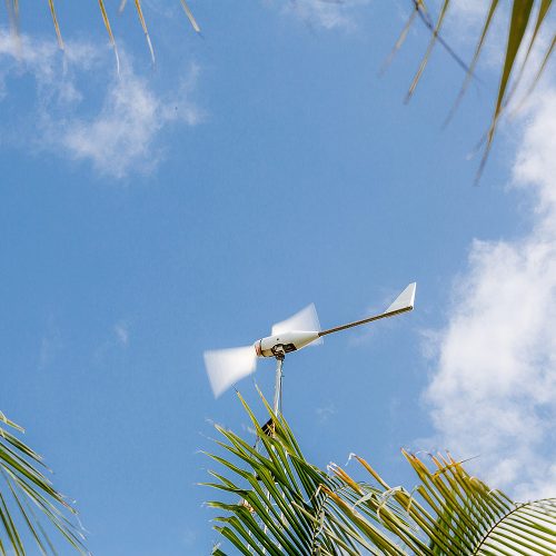 Windmill at Tulum wedding