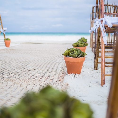 Close up of plants along aisle at wedding ceremony in Tulum