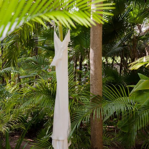 Wedding dress hanging from palm tree in Tulum