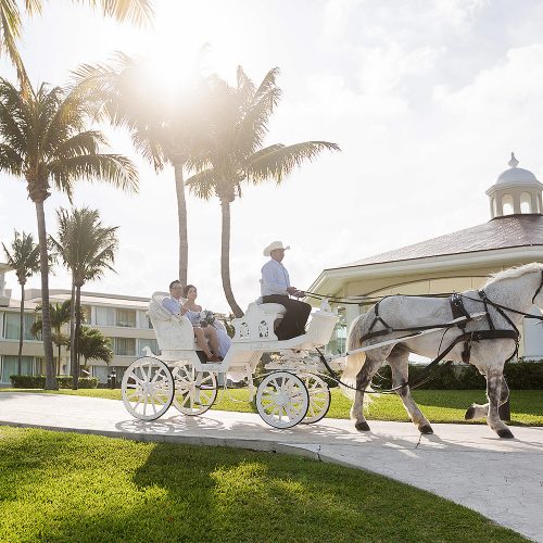 Bride showing up on horse and carriage at Moon Palace Cancun wedding