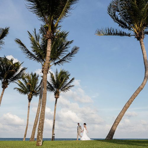 Bride and groom walking through palm trees at Moon Palace Cancun wedding