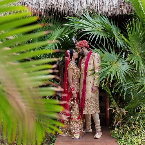 Indian bride and groom in Palm trees
